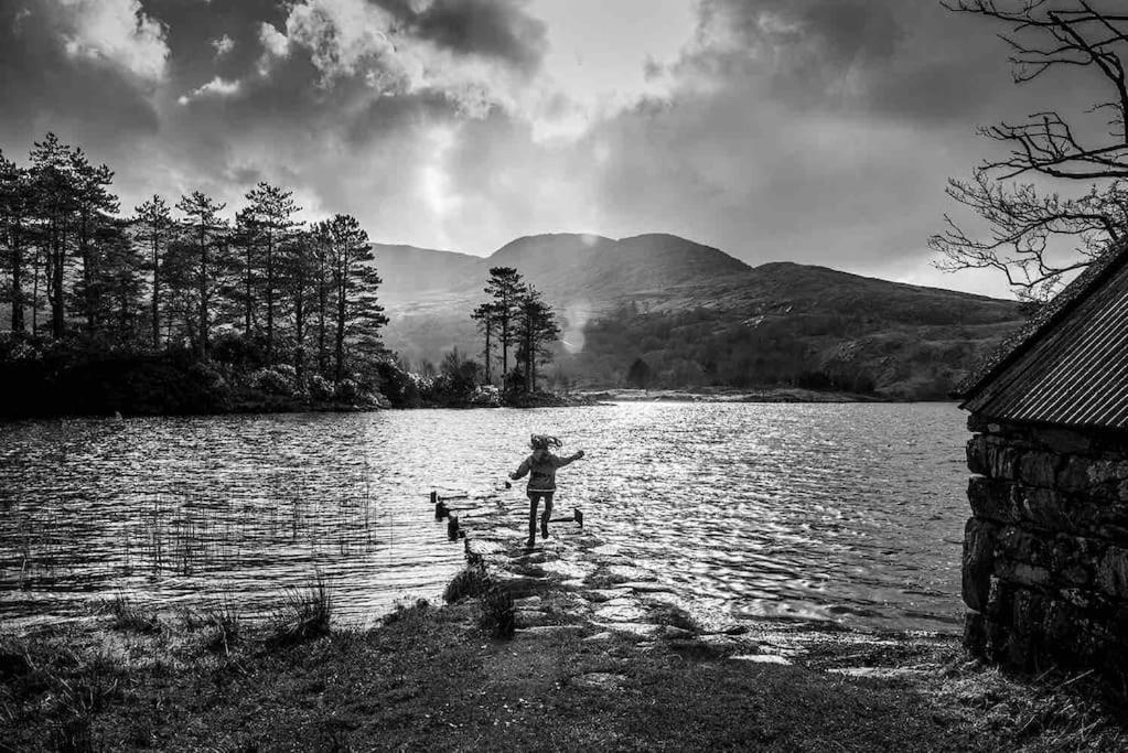 The Rose Suite Kenmare Exteriér fotografie